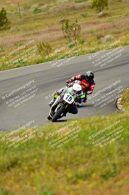 media/Apr-13-2024-Classic Track Day (Sat) [[9dd147332a]]/Group 1/Session 3 (Turns 5 and 6)/